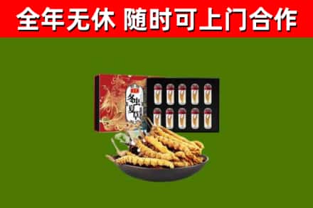 玛沁烟酒回收冬虫夏草礼盒.jpg